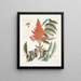 Guêpe ichneumon tripilis pennsylvanien Rhus glabrum Panicula speciosa crimson - Mark Catesby — framed artwork on a wall