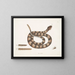 Vipère à queue de sonne - Mark Catesby — framed artwork on a wall