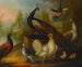 Peacocks, hens, and other birds in a river landscape - Marmaduke Cradock — artwork view