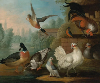 Still life with roosters, ducks, a kingfisher, and a pigeon in a river landscape - Marmaduke Cradock — artwork view