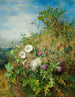 Wildflowers painting at the corner of a cornfield - Martha Darley Mutrie — artwork view