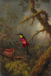 a couple of topaz crimson hummingbirds nesting - Martin Johnson Heade — artwork view