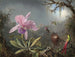 Orchid Cattleya and three hummingbirds - Martin Johnson Heade — artwork view