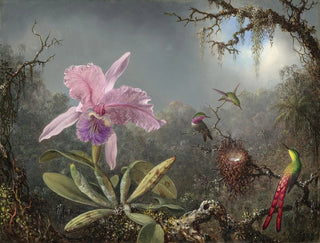 Orchid Cattleya and three hummingbirds - Martin Johnson Heade — artwork view