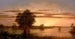 Florida Sunrise Painting - Martin Johnson Heade — artwork view