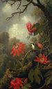 Hummingbird and Passiflora - Martin Johnson Heade — artwork view