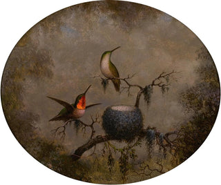 Hummingbirds and Their Nest - Martin Johnson Heade — artwork view