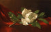 Magnolia Painting - Martin Johnson Heade — artwork view