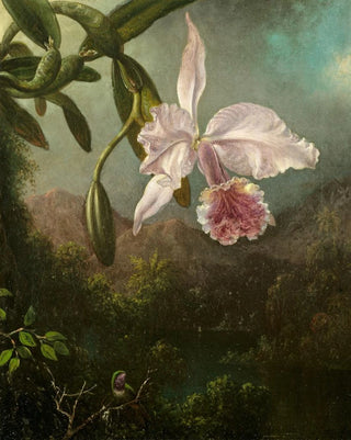 Martin Johnson Heade - Orchid Blossoms.webp