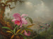 Orchids and Hummingbirds - Martin Johnson Heade — artwork view