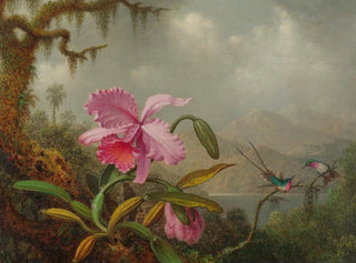 Orchids and Hummingbirds - Martin Johnson Heade — artwork view