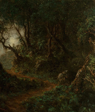 Martin Johnson Heade - Tropical Greenery Tropical Landscape.webp