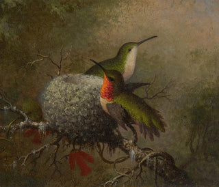 Two bluegills near their nest - Martin Johnson Heade — artwork view