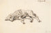 Caniche couché - Martinus Rørbye — artwork view