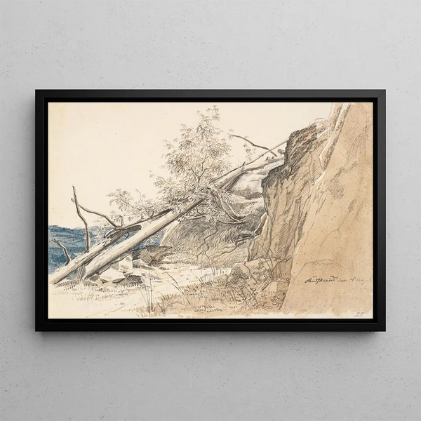 a Tree trunk leaning against a rock, Norway - Martinus Rørbye — framed artwork on a wall