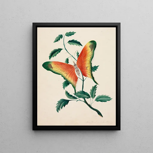 Rosier et papillon - Mary Altha Nims — framed artwork on a wall