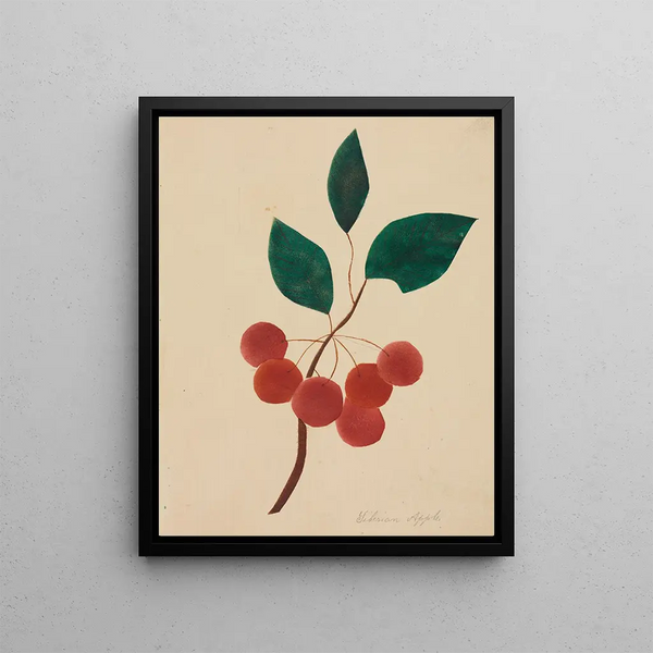 Pomme de Sibérie - Mary Altha Nims — framed artwork on a wall