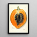 Carica papaya - Mary Daisy Arnold — framed artwork on a wall