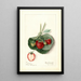 Fragaria Barrymore - Mary Daisy Arnold | Painting — framed artwork on a wall