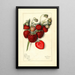 Fragaria Columbia - Mary Daisy Arnold — framed artwork on a wall