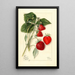 Fragaria Dunlap - Mary Daisy Arnold — framed artwork on a wall