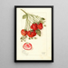 Fragaria Francis - Mary Daisy Arnold — framed artwork on a wall