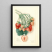Fragaria Manhattan - Mary Daisy Arnold — framed artwork on a wall