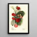 Fragaria Nanticoke - Mary Daisy Arnold — framed artwork on a wall