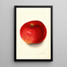 Malus domestica Wolf River - Mary Daisy Arnold — framed artwork on a wall
