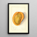 Mangifera indica Singapore - Mary Daisy Arnold — framed artwork on a wall