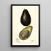 Persea - Mary Daisy Arnold — framed artwork on a wall