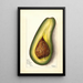 Persea Family - Mary Daisy Arnold — framed artwork on a wall