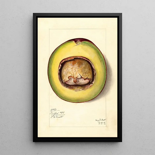 Persea Fulford - Mary Daisy Arnold — framed artwork on a wall