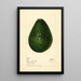 Persea Lyon - Mary Daisy Arnold — framed artwork on a wall
