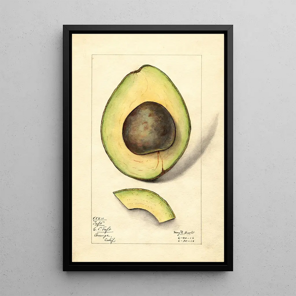 Persea Taft - Mary Daisy Arnold — framed artwork on a wall