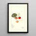 Prunus avium Bender - Mary Daisy Arnold — framed artwork on a wall