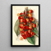 Prunus avium Royal Anne - Mary Daisy Arnold — framed artwork on a wall