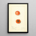 Prunus mume Barry - Mary Daisy Arnold — framed artwork on a wall