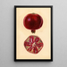 Punica granatum Grenade - Mary Daisy Arnold — framed artwork on a wall
