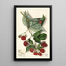 Rubus Andrews - Mary Daisy Arnold — framed artwork on a wall