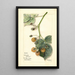Rubus Brinkles Orange - Mary Daisy Arnold — framed artwork on a wall