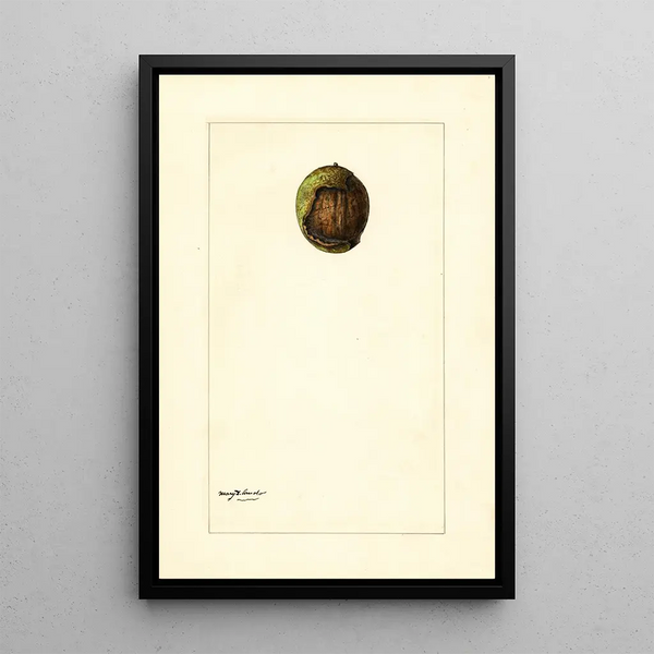 Unknown painting - Mary Daisy Arnold — framed artwork on a wall