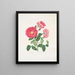 Rose Gauloise Painting - Mary Lawrance — framed artwork on a wall