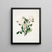 White Provincial Painting - Mary Lawrance — framed artwork on a wall