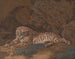 Tiger - Mary Linwood — artwork view