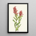 Castilléjie de l'Alberta Castilleja miniata - Mary Vaux Walcott — framed artwork on a wall