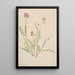 Vesce alpine Astragalus bourgovii - Mary Vaux Walcott — framed artwork on a wall