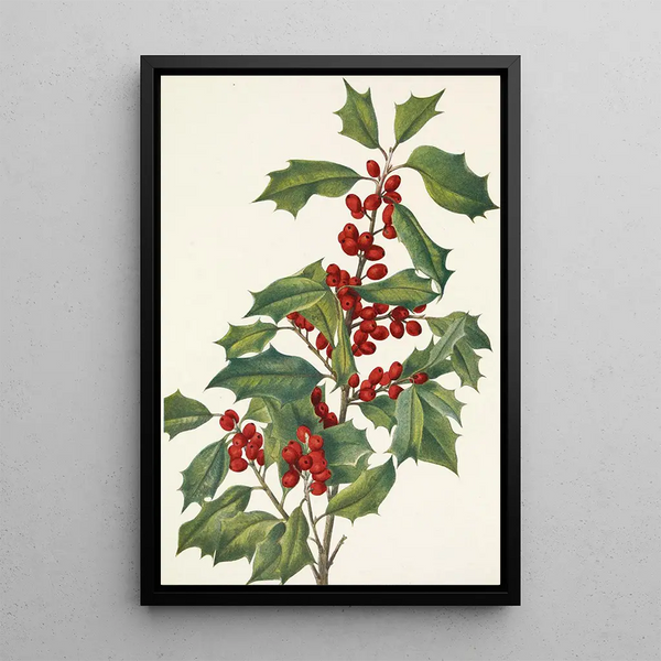 Holly American Ilex opaca - Mary Vaux Walcott — framed artwork on a wall