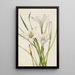 Lis d'Atamasco Atamosco atamasco - Mary Vaux Walcott — framed artwork on a wall