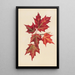 Autumn Leaves - Mary Vaux Walcott — framed artwork on a wall